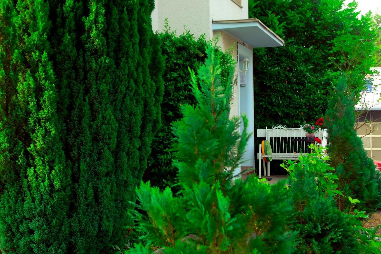 A&S Ferienwohnungen Roonstrasse Bonn Ngoại thất bức ảnh